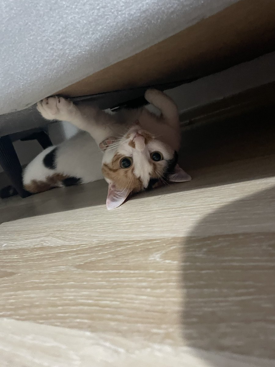 <a href="/Pisisavar/">Ulu Kamgal Bado</a> <a href="/haalebulut/">hale</a>