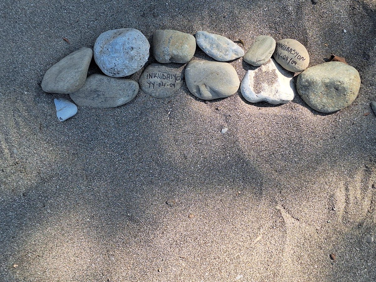 Tatile çıktığımız bu güzel bölgede beklenmedik, harika bir sürprizle karşılaştık: Burası Caretta caretta deniz kaplumbağalarının üreme alanıymış.

Sahada gönüllü olarak çalışan ekip arkadaşlarını görünce, çalışmalarını rahatsız etmeden yalnızca fotoğraf çekmekle yetindik. İzinler