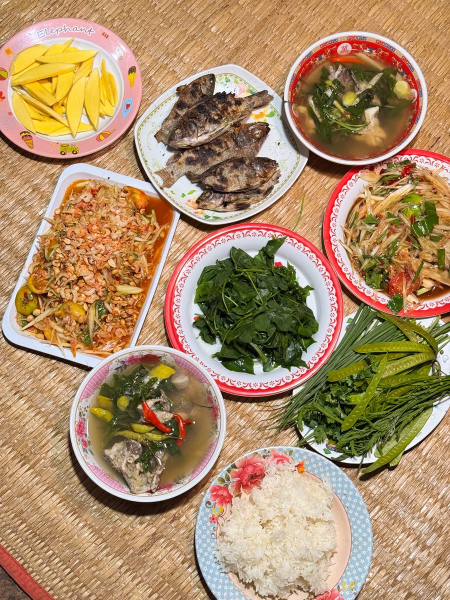 มื้อนี้เฮ็ดกับข้าวกินกันตั้ง 5 ชั่วโมง ม่วนหลายเด้อพี่เซียน…มิตรภาพบ่ได้จบแค่เถียงนา 🥰🤙🏻🍃🎣 youtu.be/mTdPZmw7hyE?si…