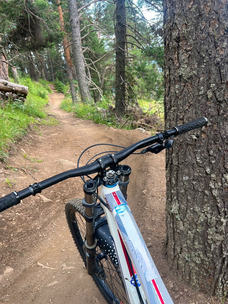 RalfBox's tweet image. Tried downhill MTB in mountains a week ago. Felt scary but I liked it ngl