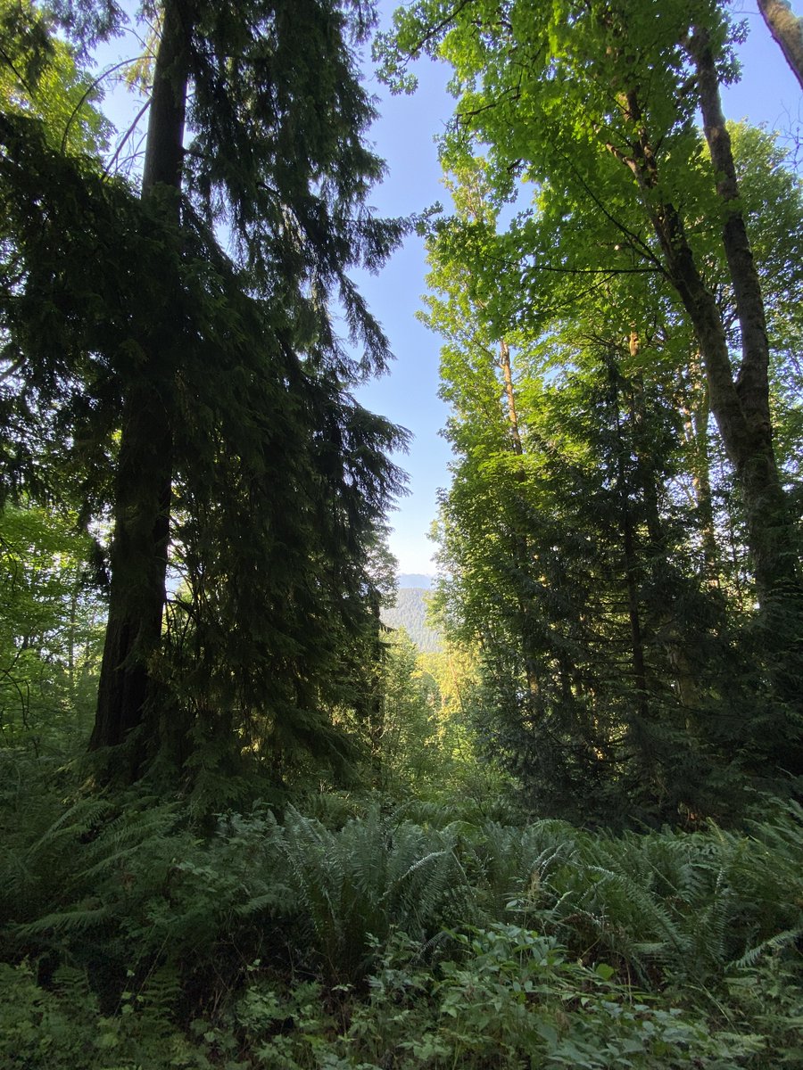 Although higher-level occurrences are not fully understood by science, our bodies can be physiologically sensitive. wp.me/p1ZS4h-tO