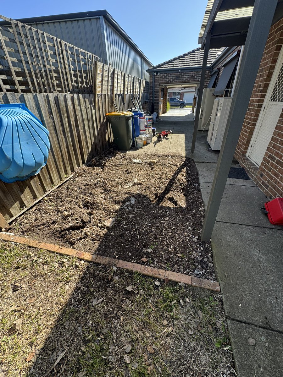 David - Gisborne Stump Grinding tweet media