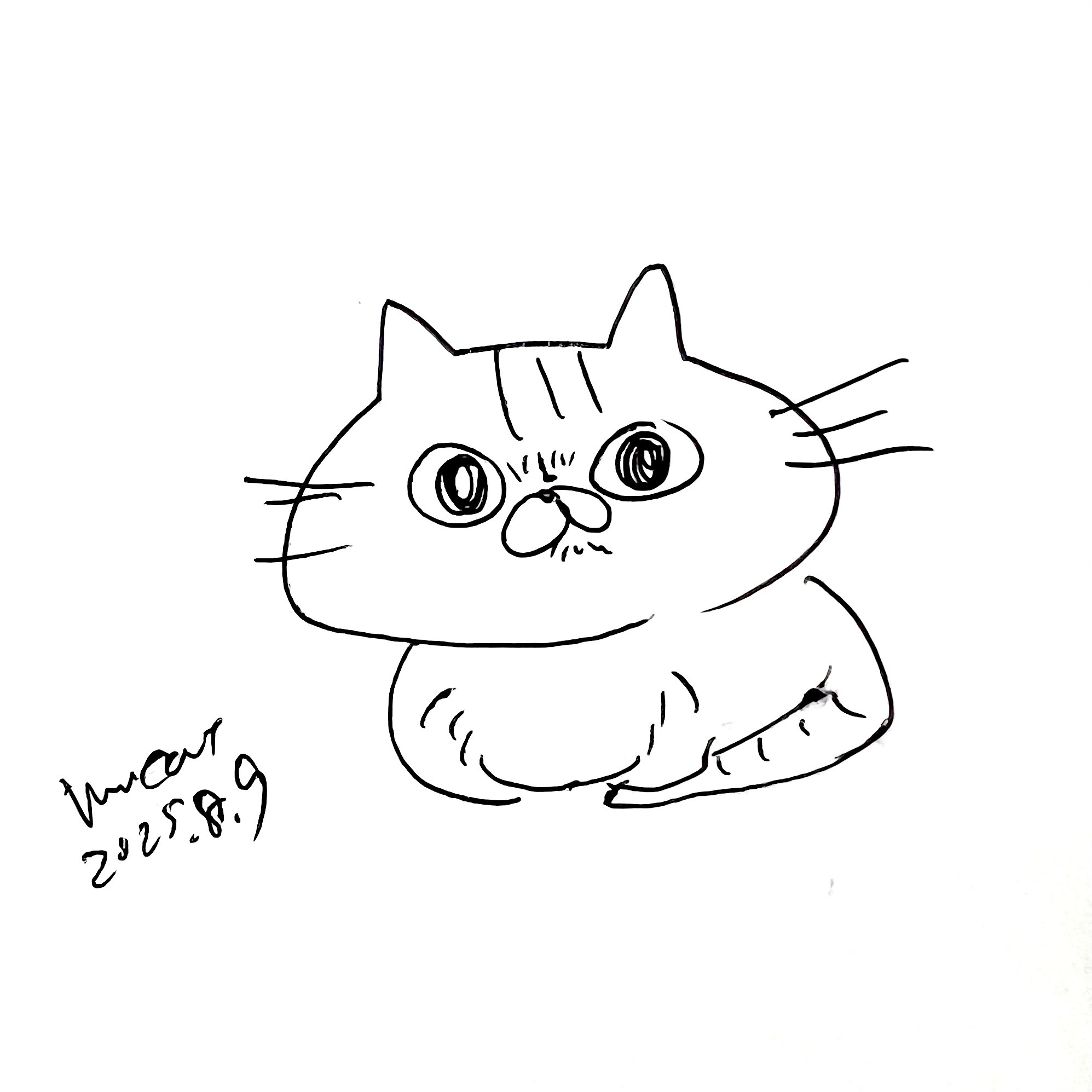 ❁ねこ❁ ComicSense.xyz Cute Lucky Cat Moving Head Solar Bobblehead
