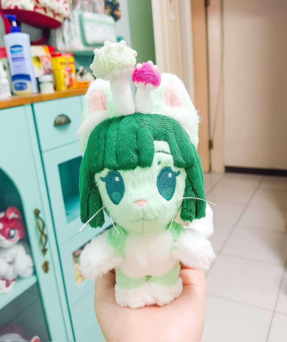 My cat got moldy and grew mushrooms😺🍄😂