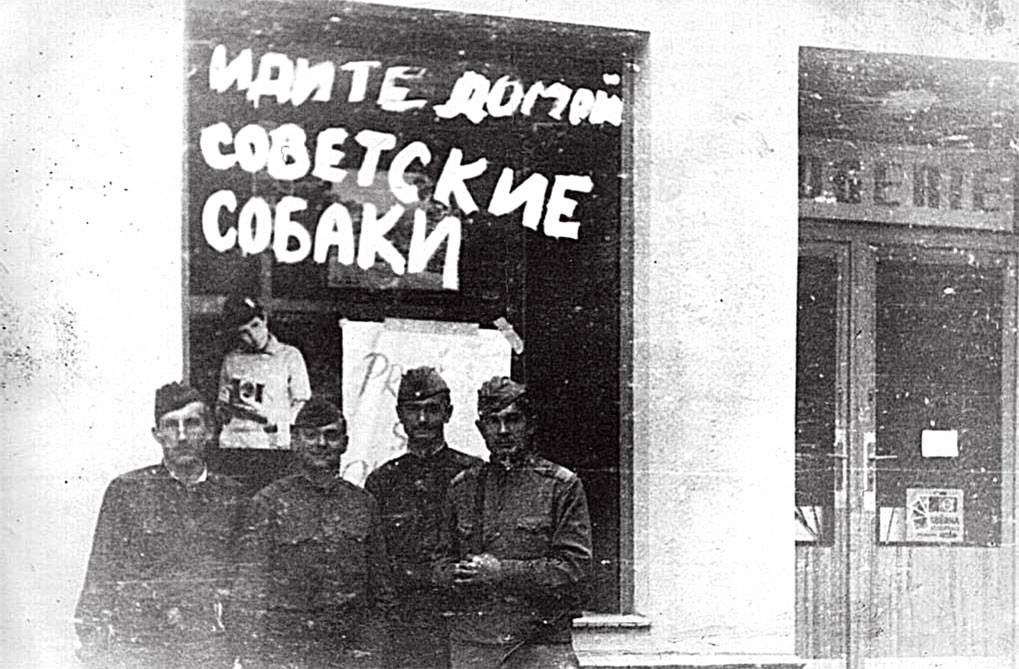 За собачек обидно😢