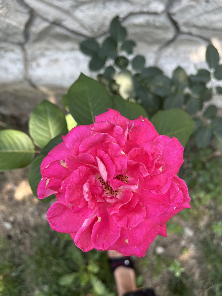 Bu nasıl güzel bir şeydir Allah ım 🙏🌷