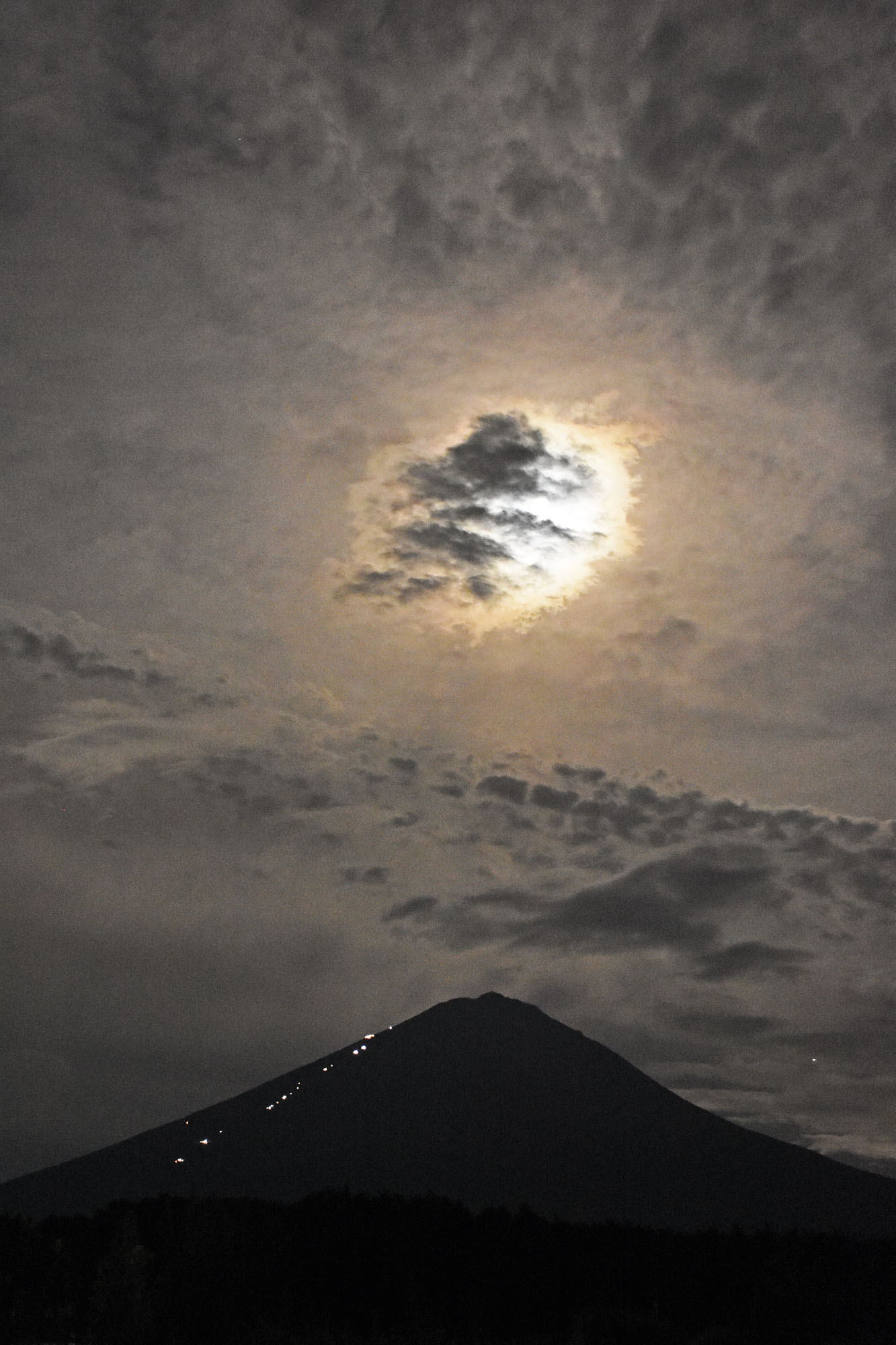 富士山コレクター大宮仁 on X: 
