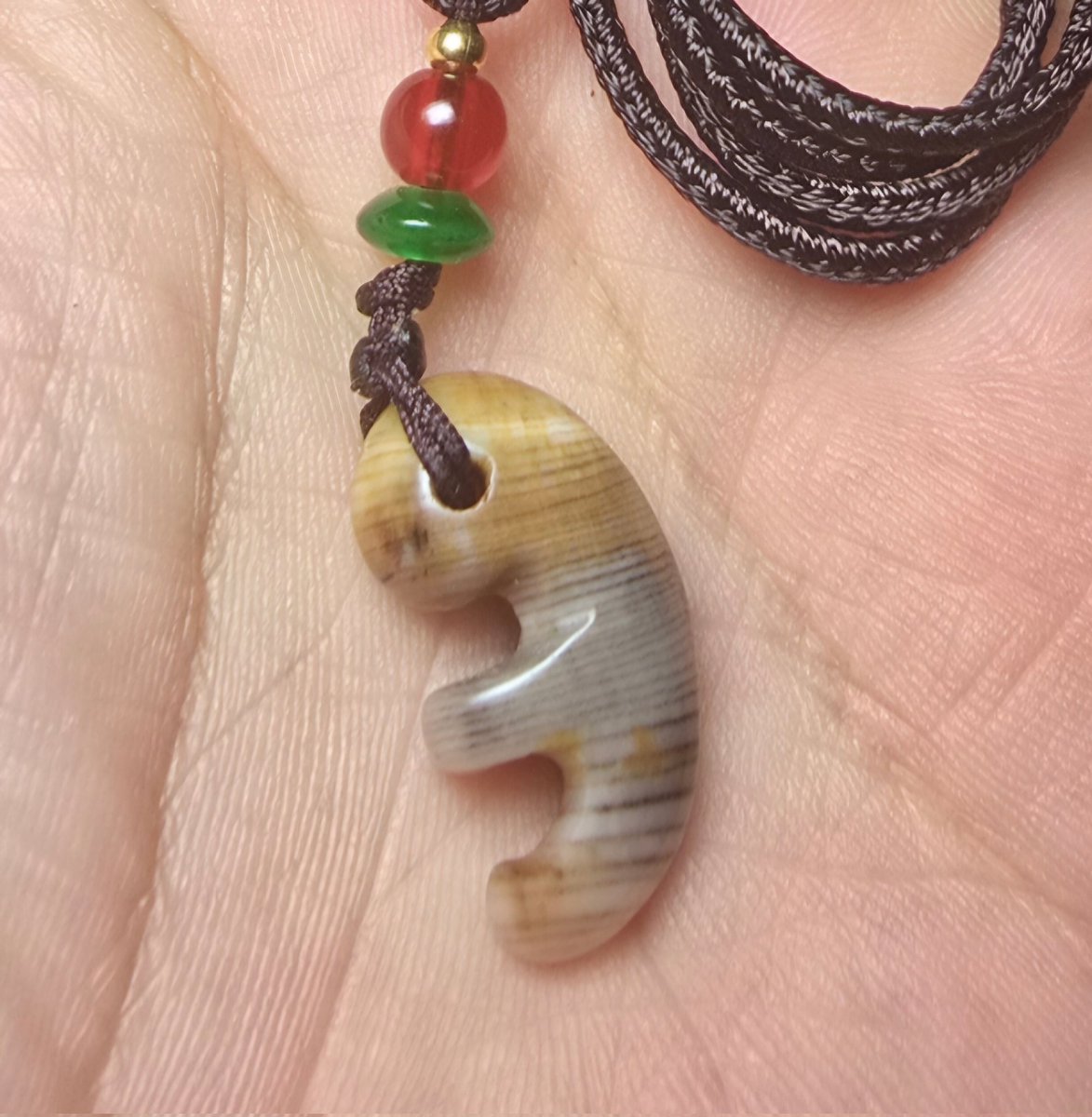 나무화석(규화목)
모자곡옥