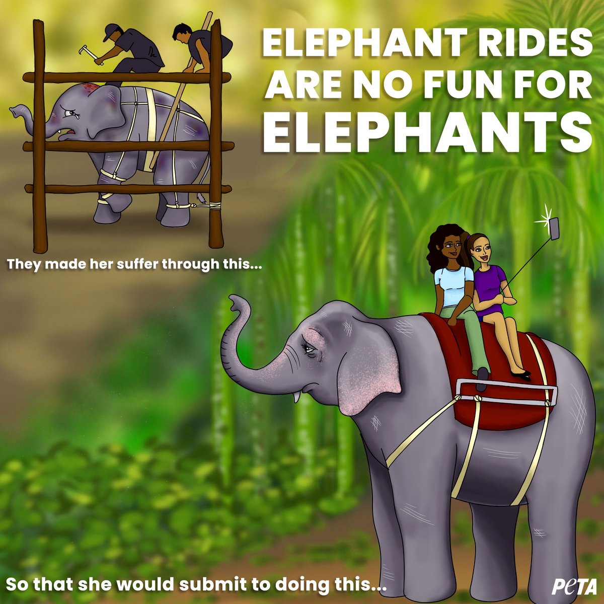 Animals are not modes of transport 😡 

🎨 PETA