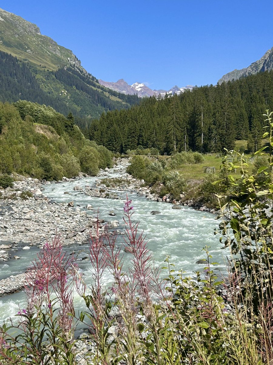 the bend in the river