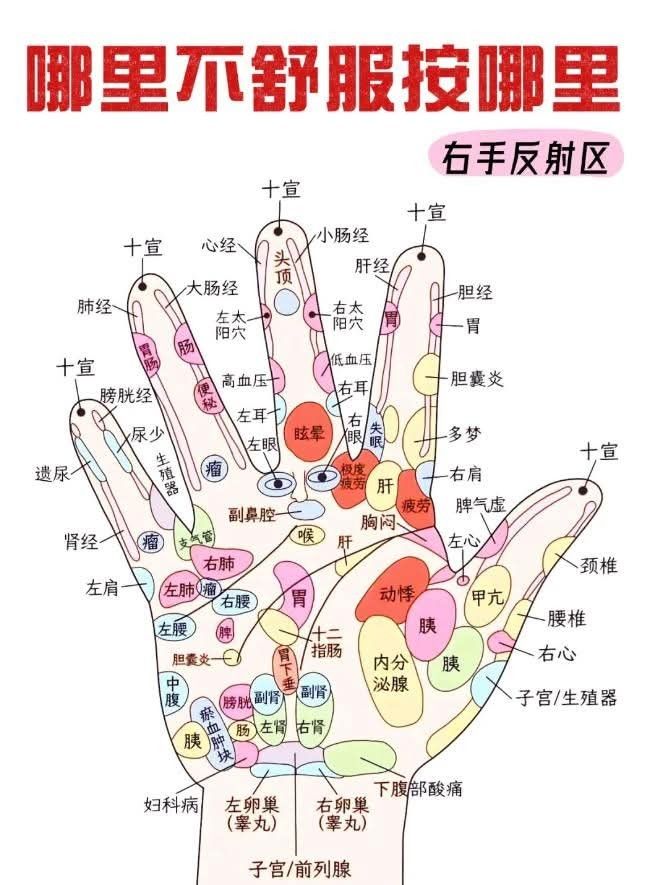 哪里不舒服就按哪里

#中医 #穴位 #健康管理 #疾病