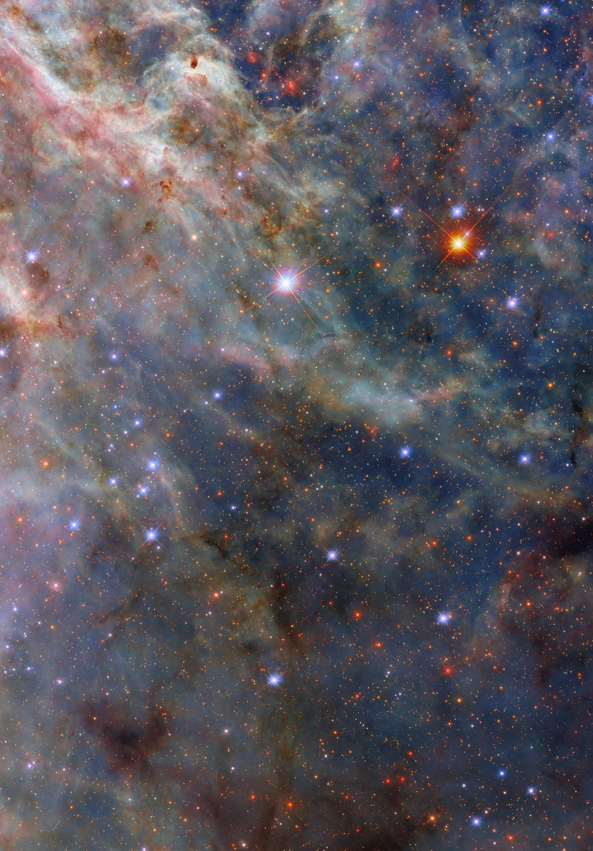 amazing_physics's tweet image. Back for more!

This new #HubbleFriday view shows a portion of the Tarantula Nebula, one of Hubble&apos;s most frequent targets.

Located about 160,000 light-years away, this nebula is home to the most massive stars known– some roughly 200 times as massive as our Sun!

Hubble&apos;s…