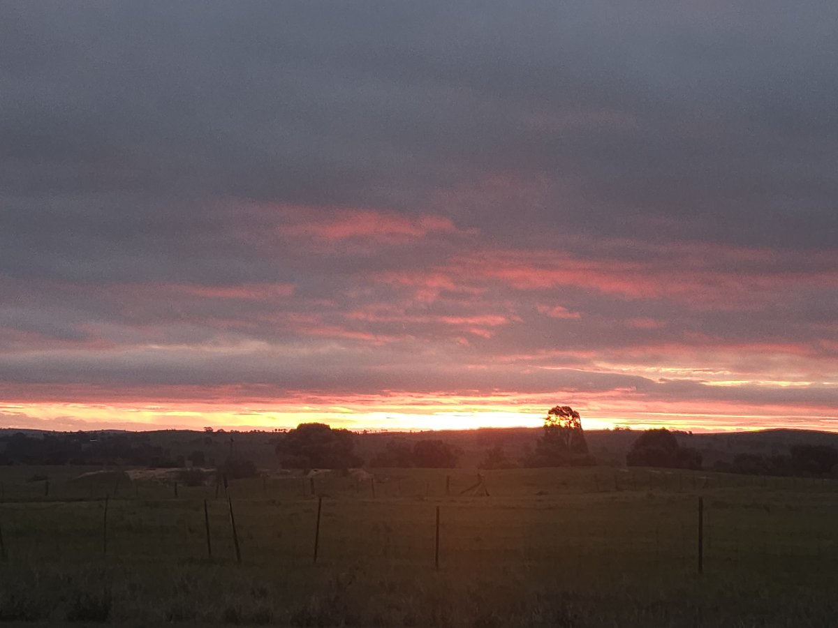 Ag feeds you (I'm back)🖕 (@noleftt) on Twitter photo 