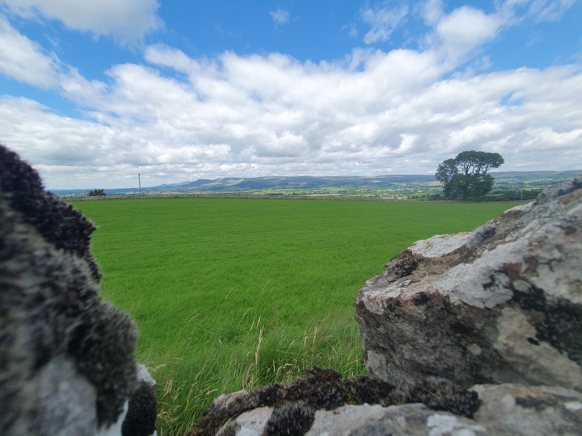 563 Aldo (@563aldo) on Twitter photo #stilesaturday
<a href="/VisitUpperEden/">Kirkby Stephen & Upper Eden Visitor Centre</a>
<a href="/VisitEden/">Visit Eden</a>
Last Saturday's circular walk from Kirkby Stephen taking in Hartley, Whingill, Cote Garth and Winton.
The walk has 33 stiles, some interesting / challenging ones.
Superb views of the Eden Valley. #stilesaturday
<a href="/VisitUpperEden/">Kirkby Stephen & Upper Eden Visitor Centre</a>
<a href="/VisitEden/">Visit Eden</a>
Last Saturday's circular walk from Kirkby Stephen taking in Hartley, Whingill, Cote Garth and Winton.
The walk has 33 stiles, some interesting / challenging ones.
Superb views of the Eden Valley.