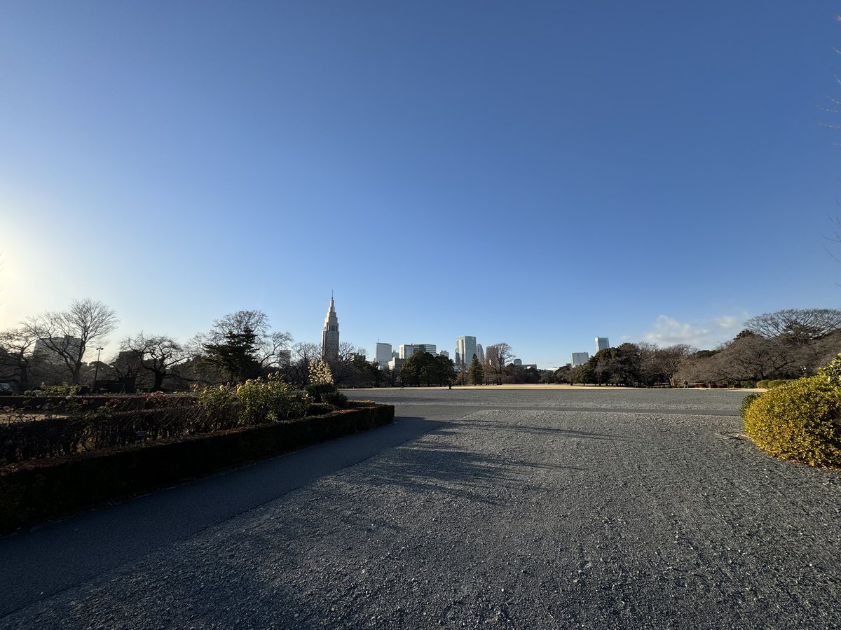 ウォーキングしながらサイモンとガーファンクルを聴く。洗練されてるなぁ〜ニューヨークだなぁ〜(行った事ないけど)。間奏が超ヤバい”Old friends”を執拗にリピート、牧歌的だけどマジの田舎じゃなくてセントラルパークなんだよなぁ〜。カッケー！よっしゃー作曲だ！新宿御苑で。