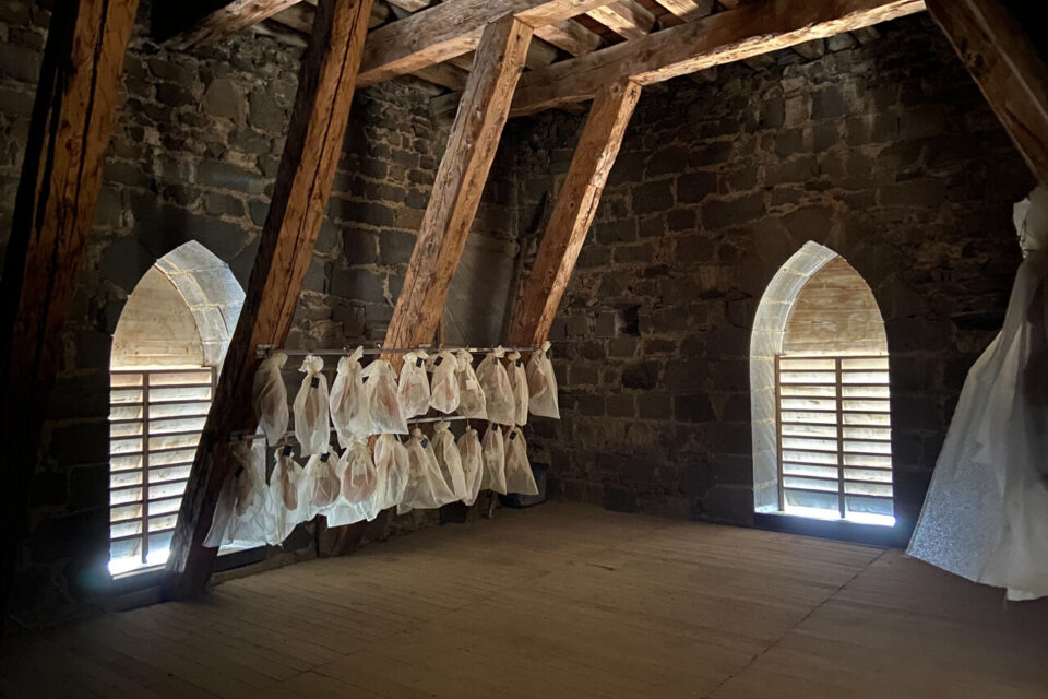 Saint-Flour (15) : les bâtiments de France demandent le retrait des jambons qui sèchent dans une tour de la cathédrale. (MàJ : l'abbé Boyer reçoit le Mérite agricole pour ses salaisons)
 fdesouche.com/2025/08/09/sai…