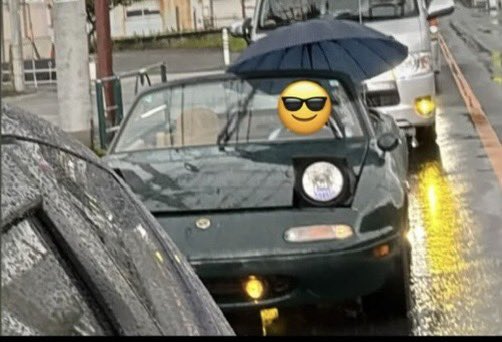 🐬&lt;雨の日に屋根のない車に乗って、停車中に傘を刺して対向車を怖がらせましょう！