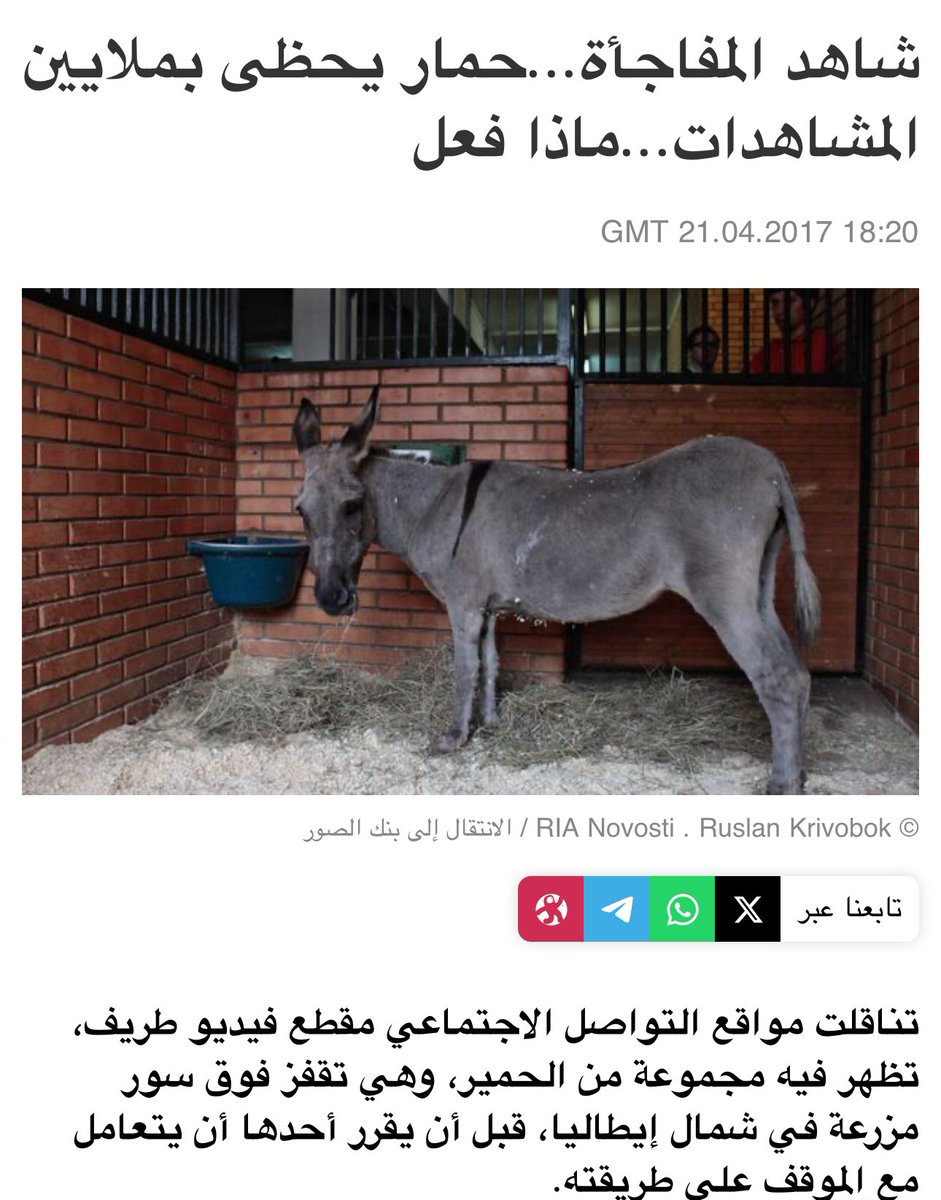 حتى الحمار يكون له تأثير.!!