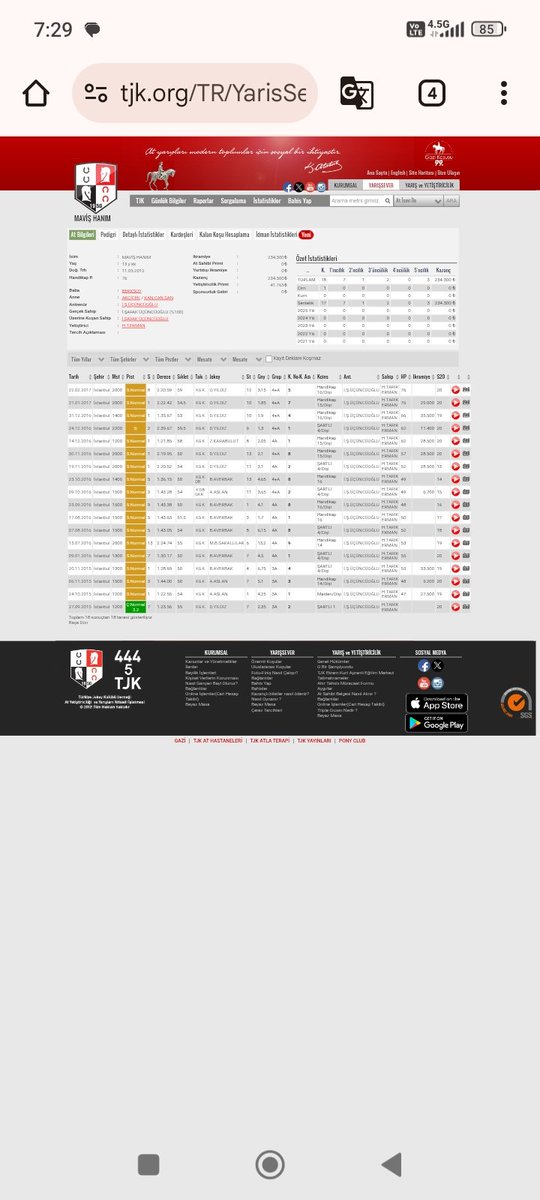 Satılık kısrak mavishanim yarış hayati