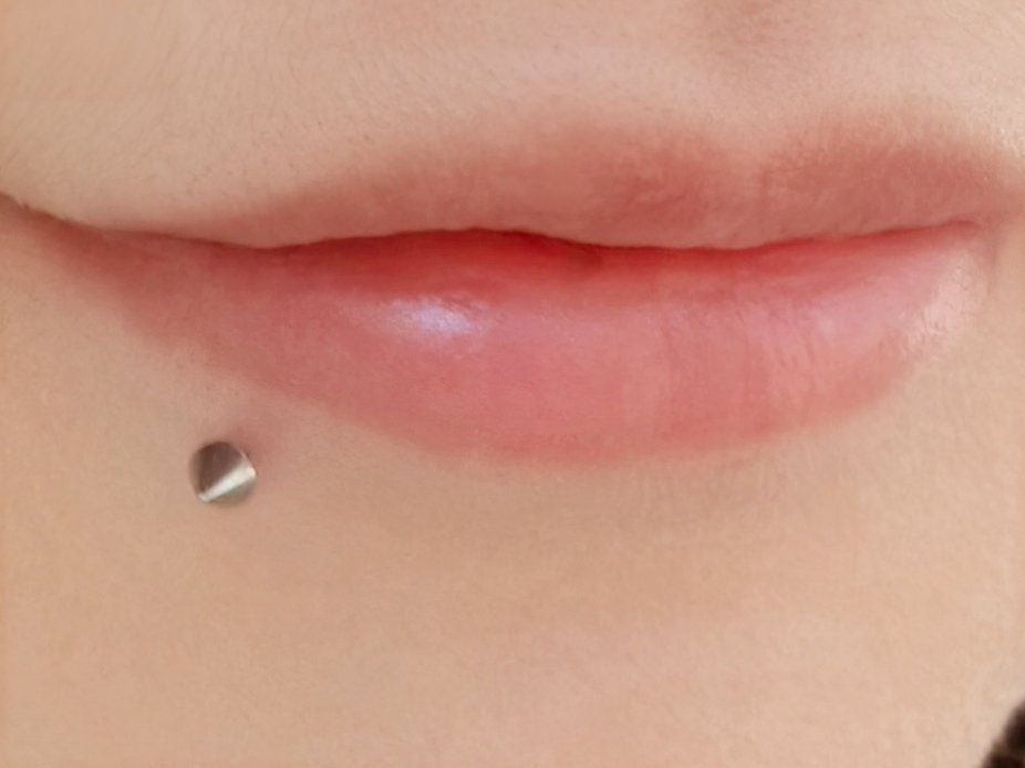 BlueBirdy_233's tweet photo. โผ
#lippiercing
#piercing https://t.co/EsmXfsgn9t