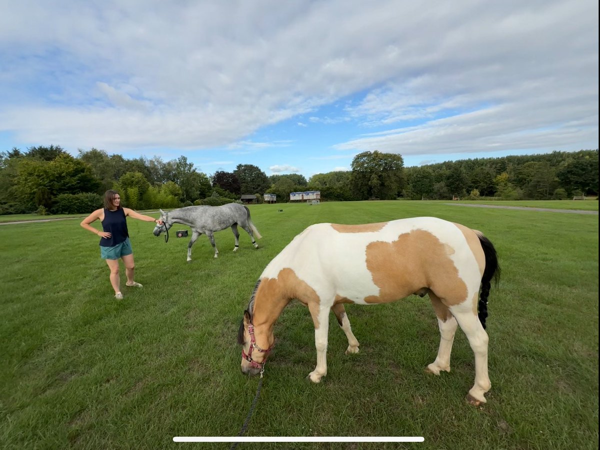 From football to ponies, daughter no1 time.