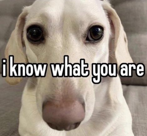 𝗣𝗜𝗣 🌈🖍️ (@pippomme) on Twitter photo 