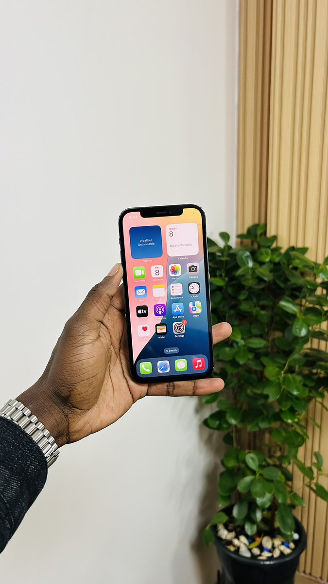 iPhone - セント 2023年 セントヘレナ フェアリークイーン ウナとライオン 5