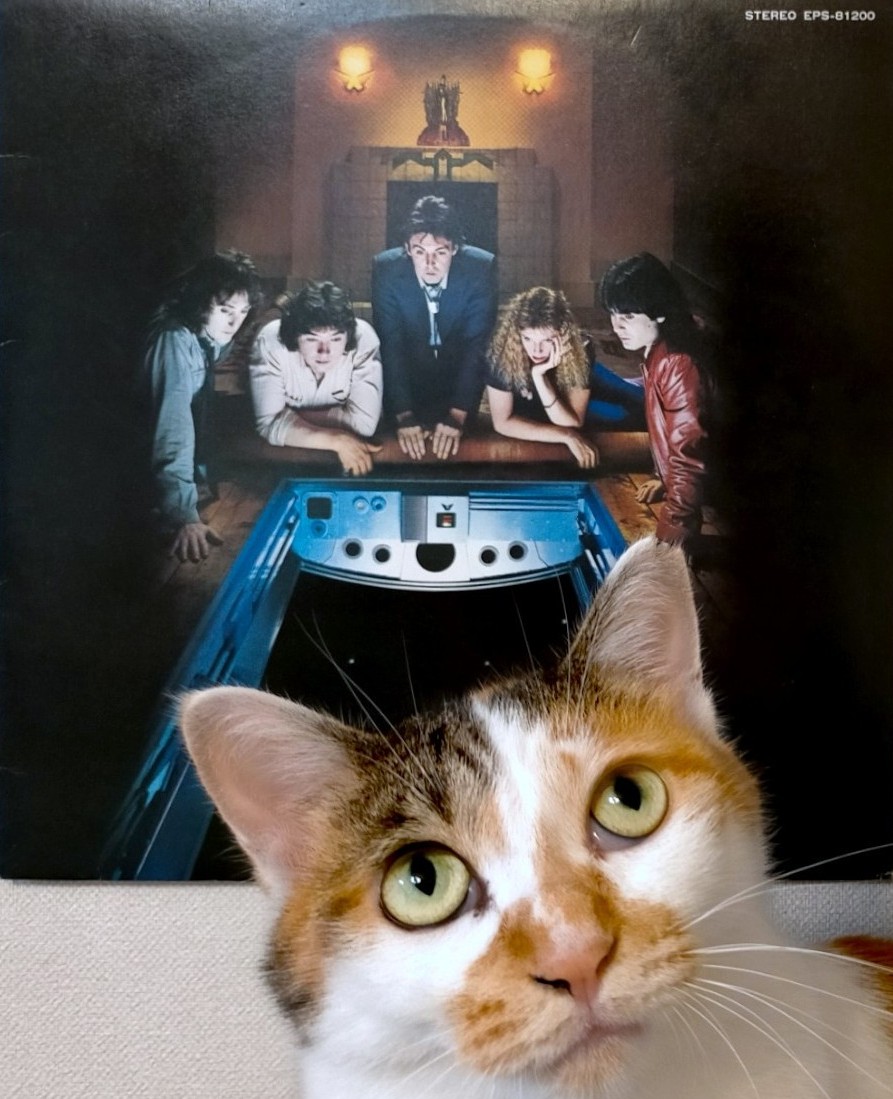 #猫とレコード
ウイングス『Back to the Egg』

ロック界の多数のスターを一堂に集めて全員で合奏させるという、非常に無駄…じゃなくて豪華な企画・ロケストラが目玉のウィングス最終作。
メドレーや語りもあるバラエティに富んだ内容を美しくまとめるポールはやはり天才。

#PaulMcCartney #三毛猫
