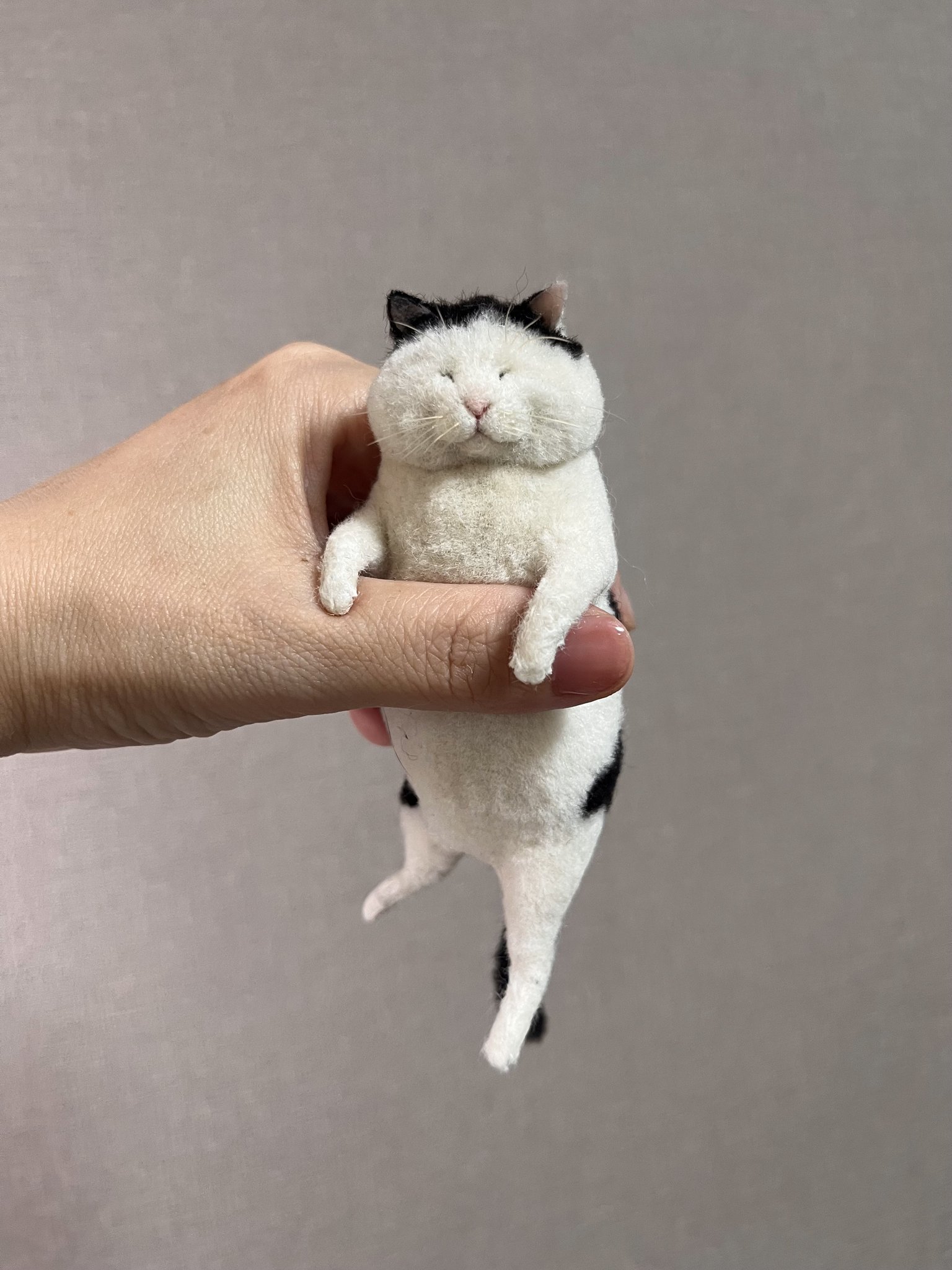 羊毛フェルト　猫 『ジュン様』専用ページ 羊毛フェルト 猫 『ジュン様』専用ページ 羊毛フェルト ロシアン