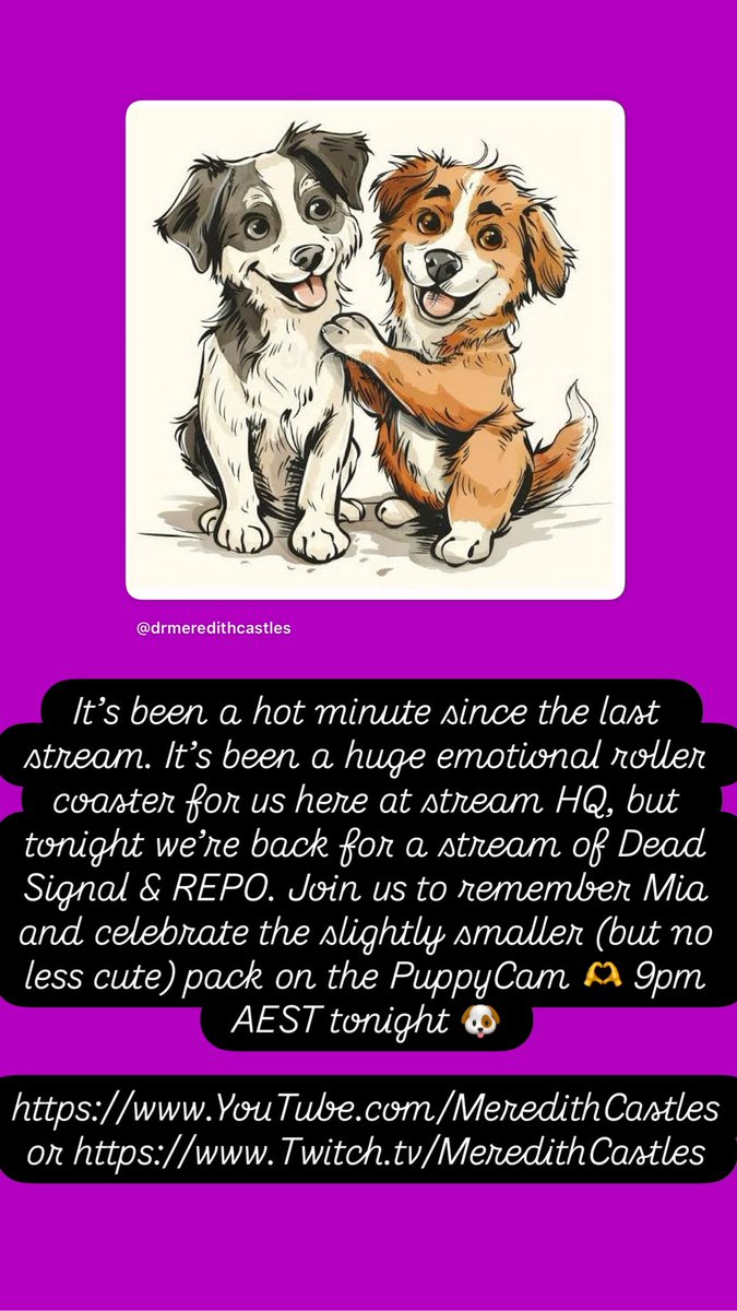 Meredith Castles (@meredithcastles) on Twitter photo 