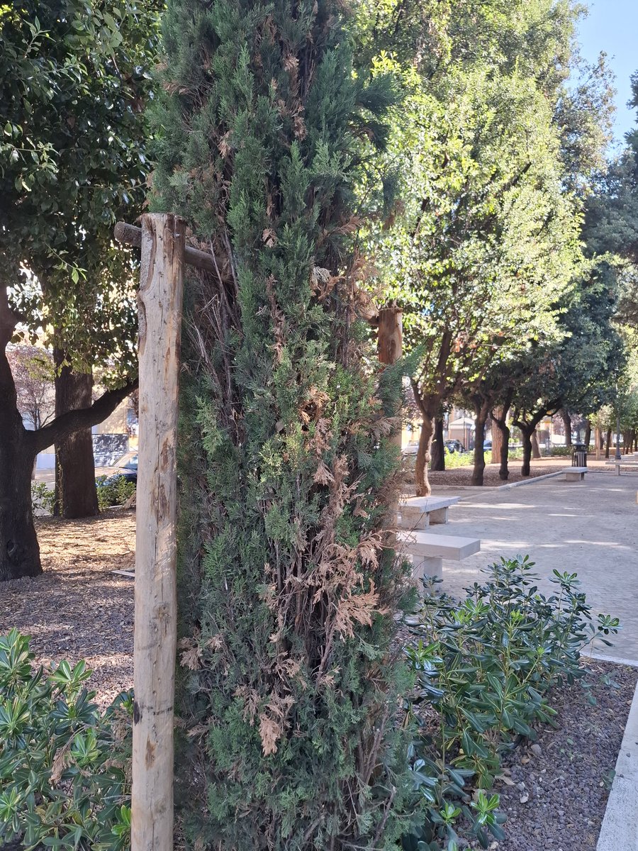 <a href="/Roma/">Roma</a> Complimenti per l'ottimo lavoro!