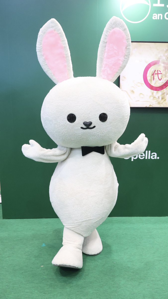 リニューアルしてた、エスエス製薬 ピョンちゃん #ドラッグストアショー