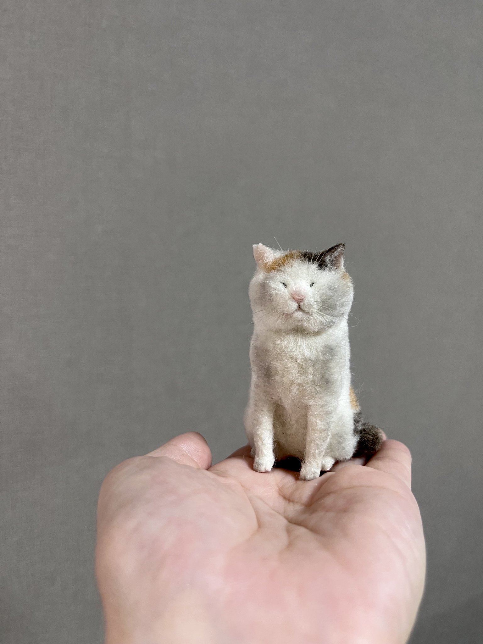 羊毛フェルト　猫 『ジュン様』専用ページ 羊毛フェルト 猫 『ジュン様』専用ページ