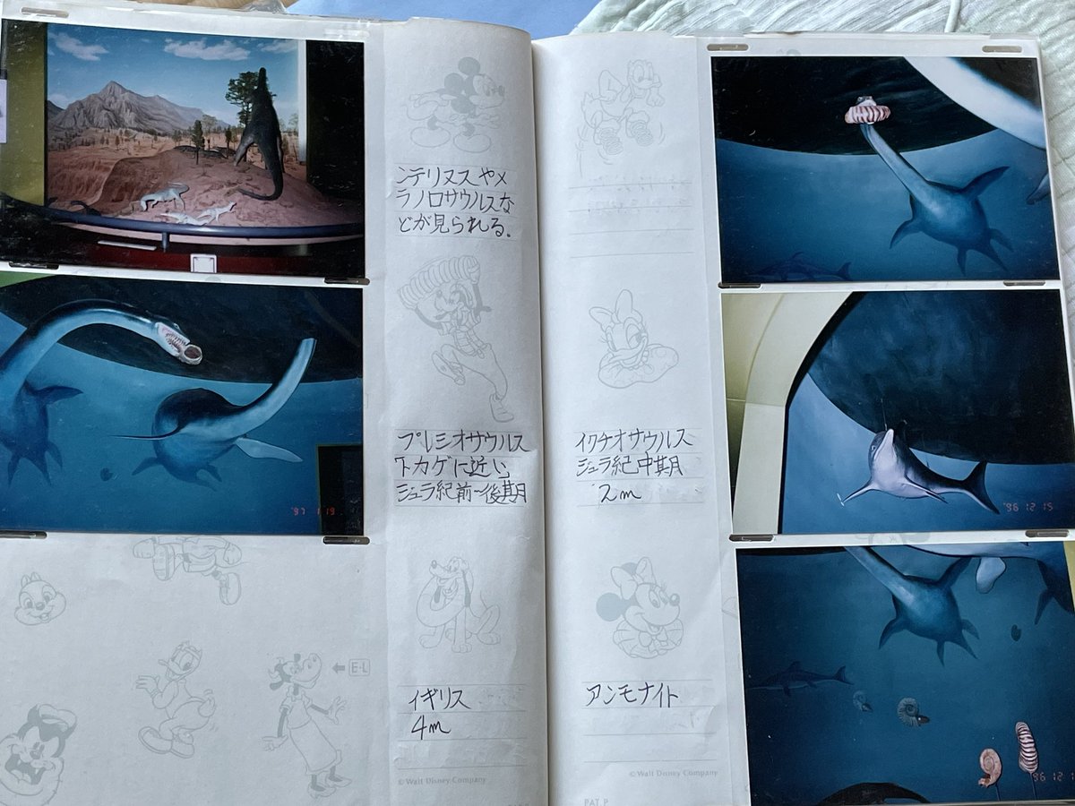 実家帰ってるのでせっかくなので探してみたら写真が残ってた
真っ暗な中でこの展示(実物大)は幼い頃にはそらトラウマになる
もう今はこの展示は随分前になくなった
やはり怖すぎたのか……