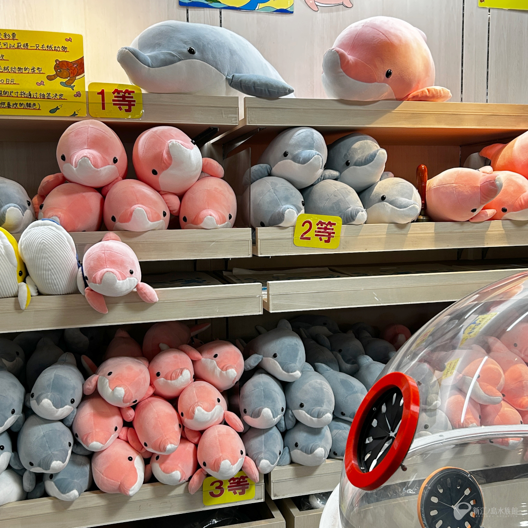 あす8月10日(日)も 8時より開館します。 朝最初のショーは、8時45分