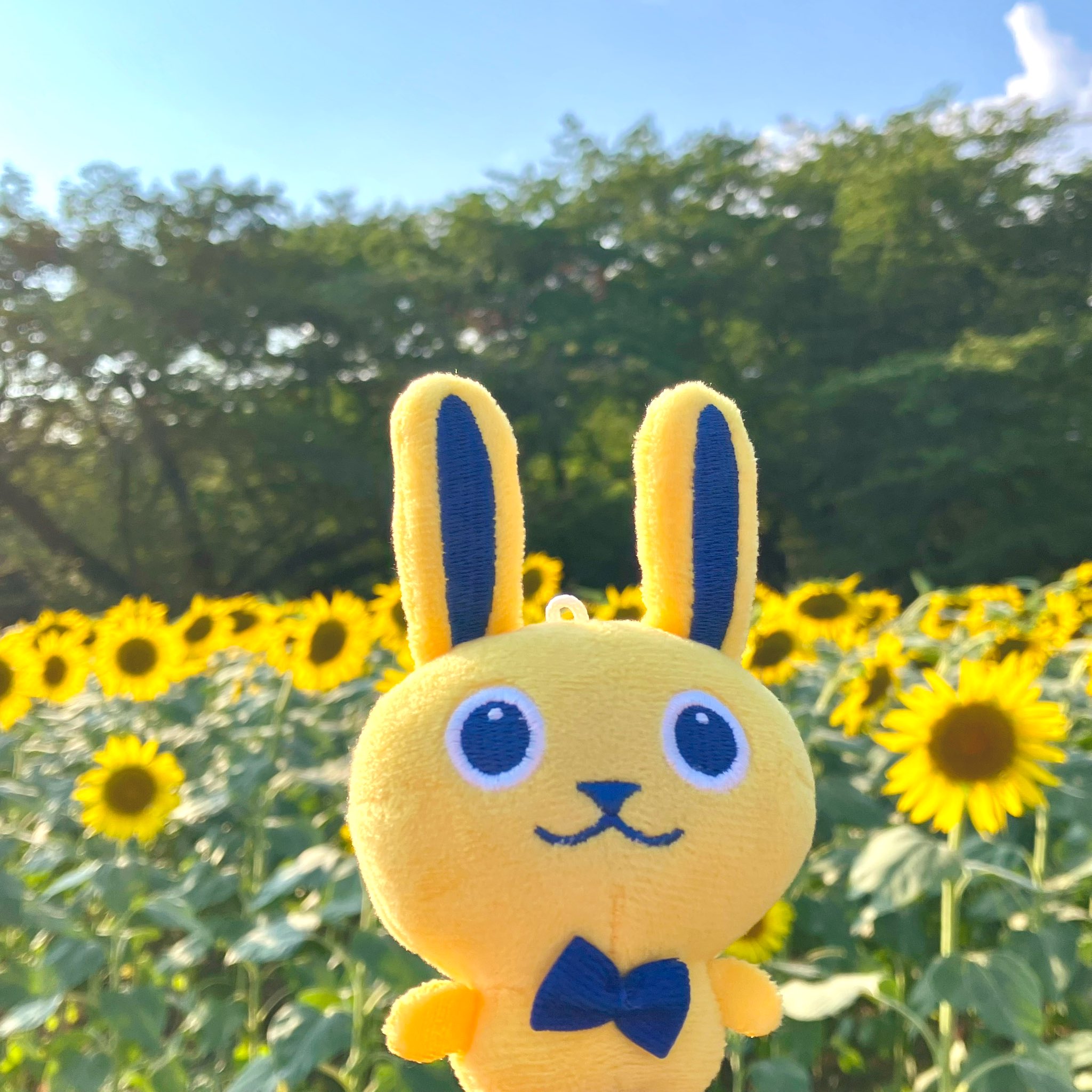 ♥A*B♡ひまわり飾り。ひまわりうさぎちゃん*♡可愛い七夕飾り*♡♥ 2275445809.jpg?1716829575