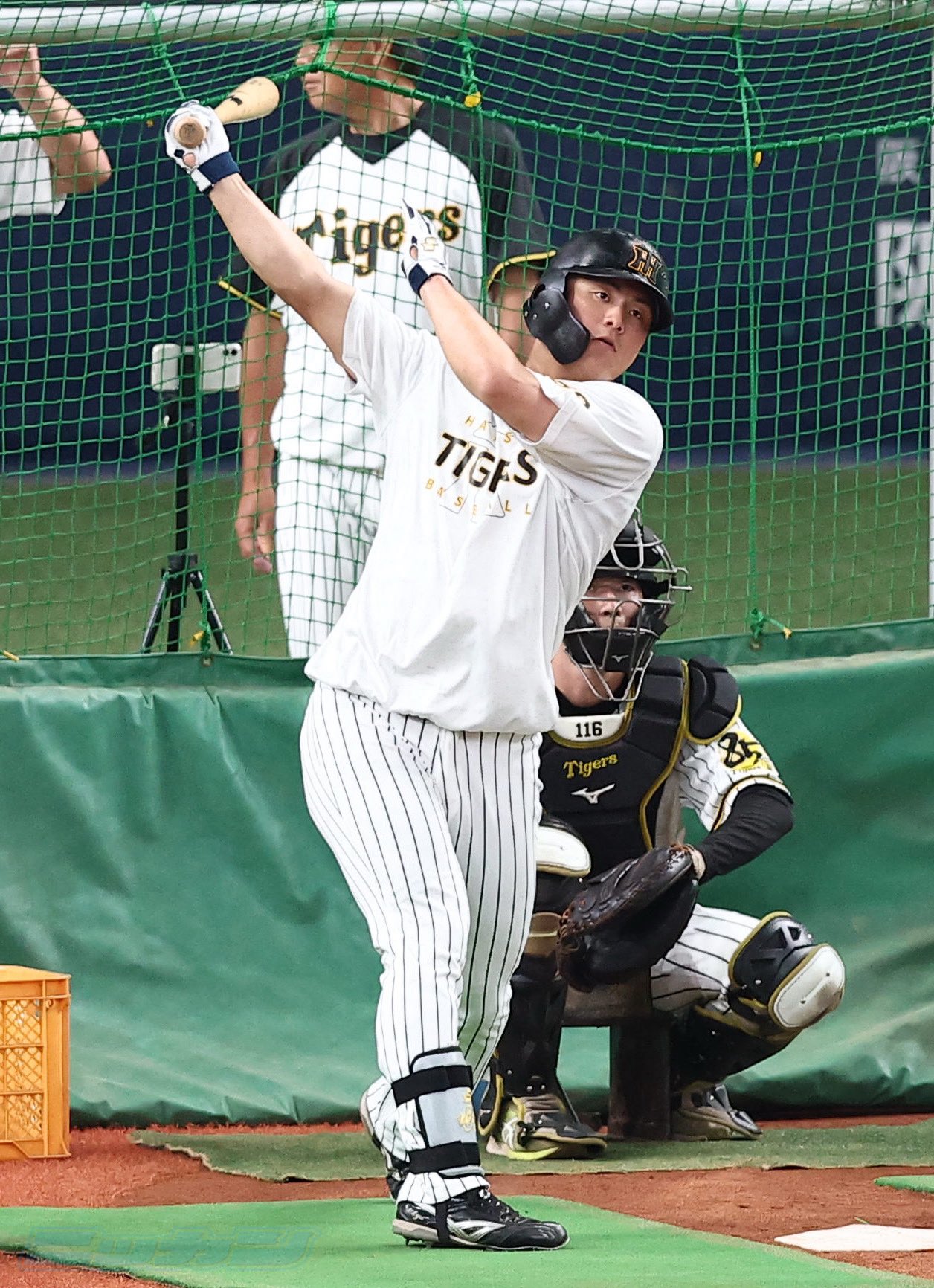 極トラ・プレミアム（日刊スポーツ） on X: 