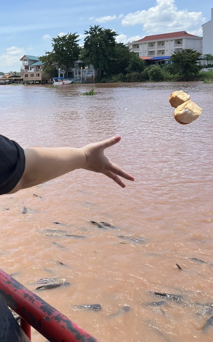 อิ่ม❎
ติดคอ✅