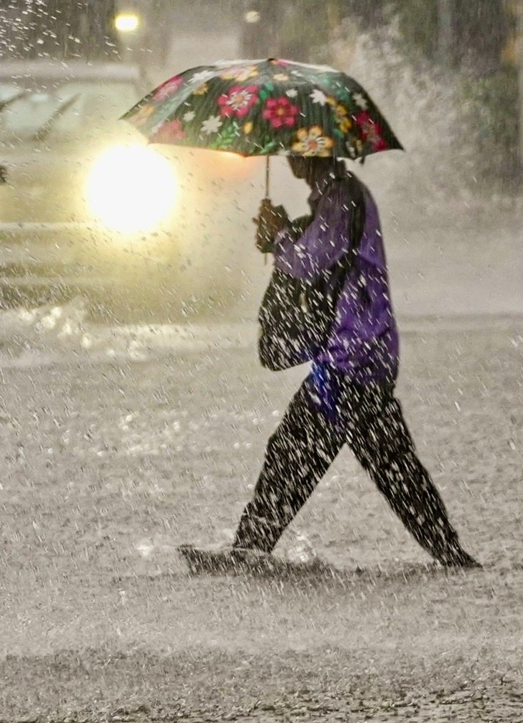 Rain in Delhi ⁦<a href="/PTI_News/">Press Trust of India</a>⁩