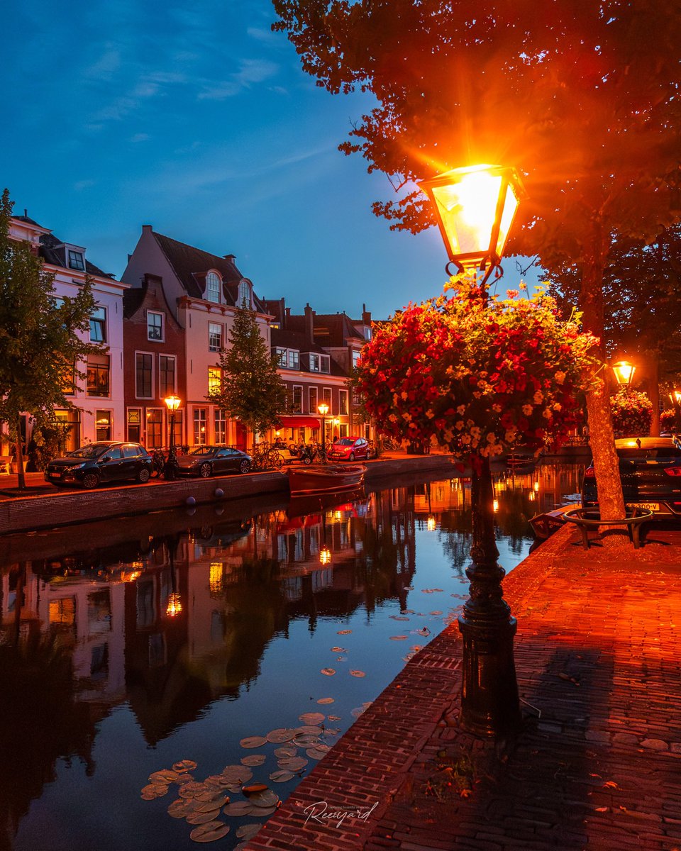 Richard Steenvoorden 🌱 tweet media