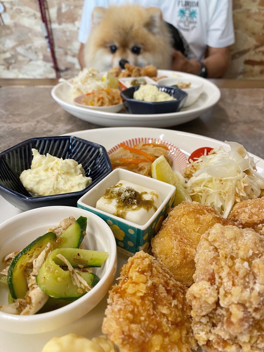 今日のお出かけ🍽🩵ྀི

#ポメラニアン