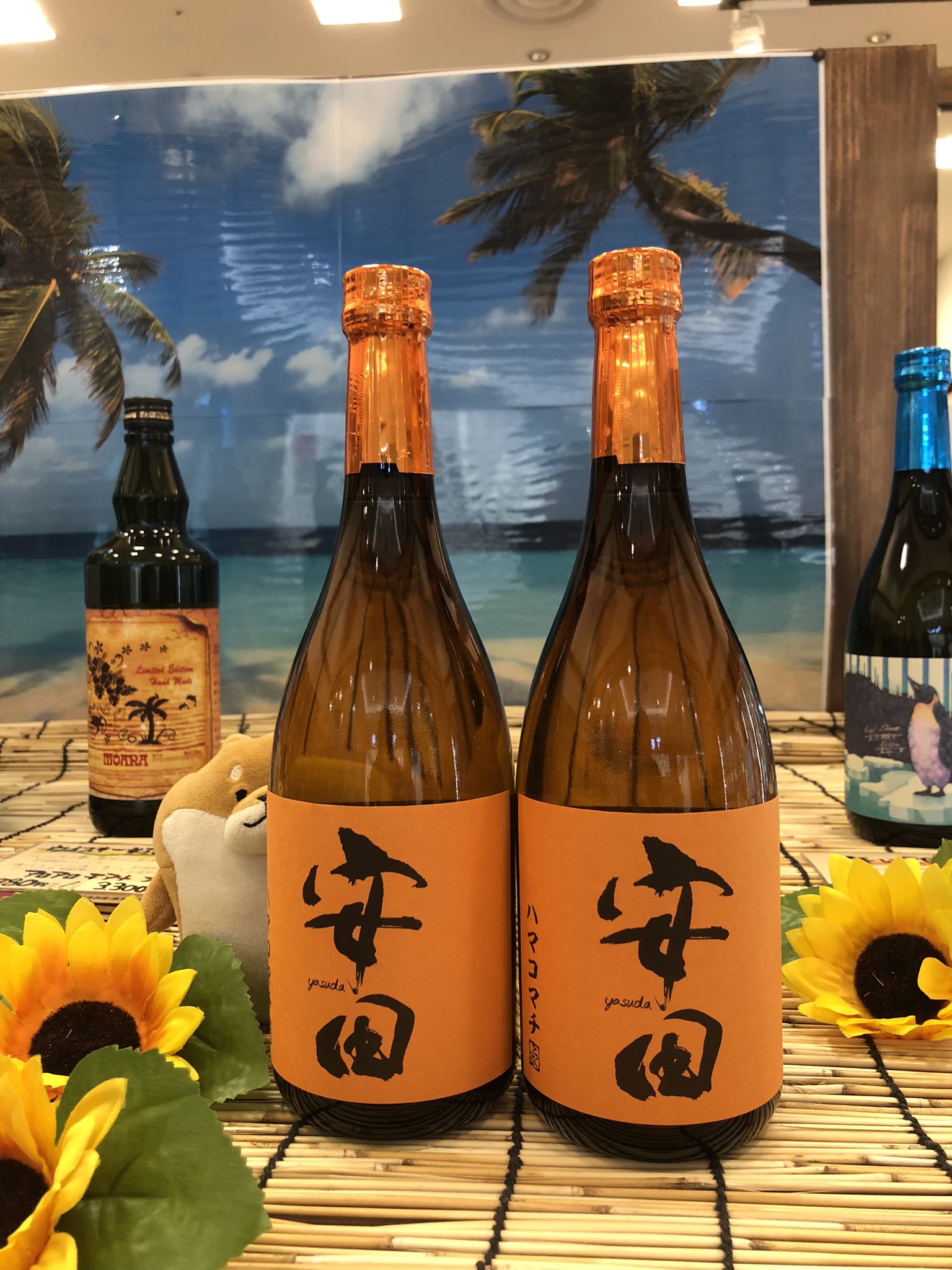 生産数極少 国分酒造 安田　ハマコマチ 1800ml 2本 芋焼酎｢安田ハマコマチ｣新発売のご案内 | 国分酒造株式会社の