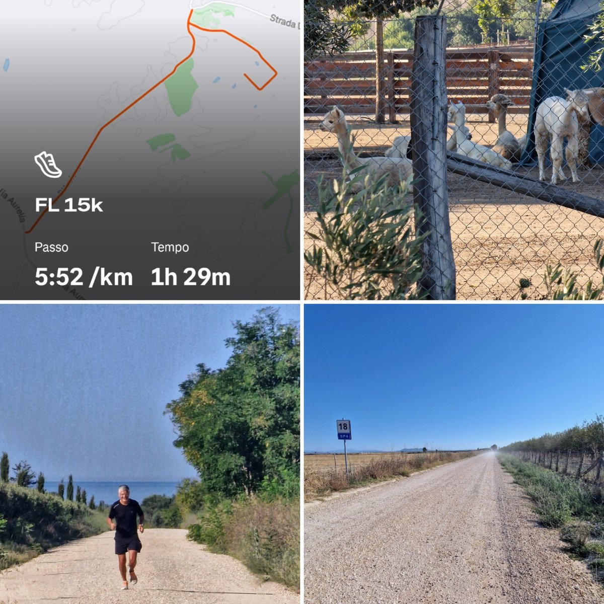 Oggi ci vorrebbe proprio un maglioncino di alpaca...
Buon weekend #runlovers