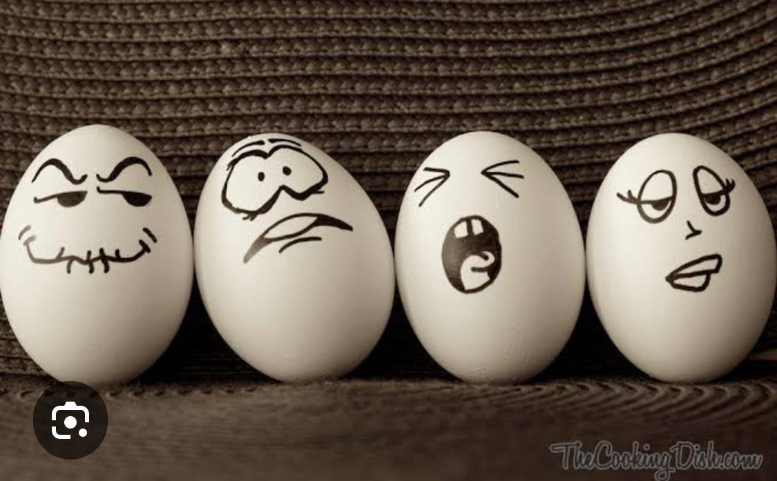 Lebogang Mashigo of Eggsellent tweet media