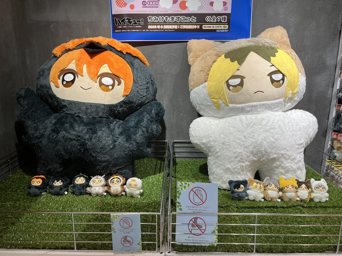 アニメイト池袋へ☺️ウィンブレの絆創膏貰いました😆