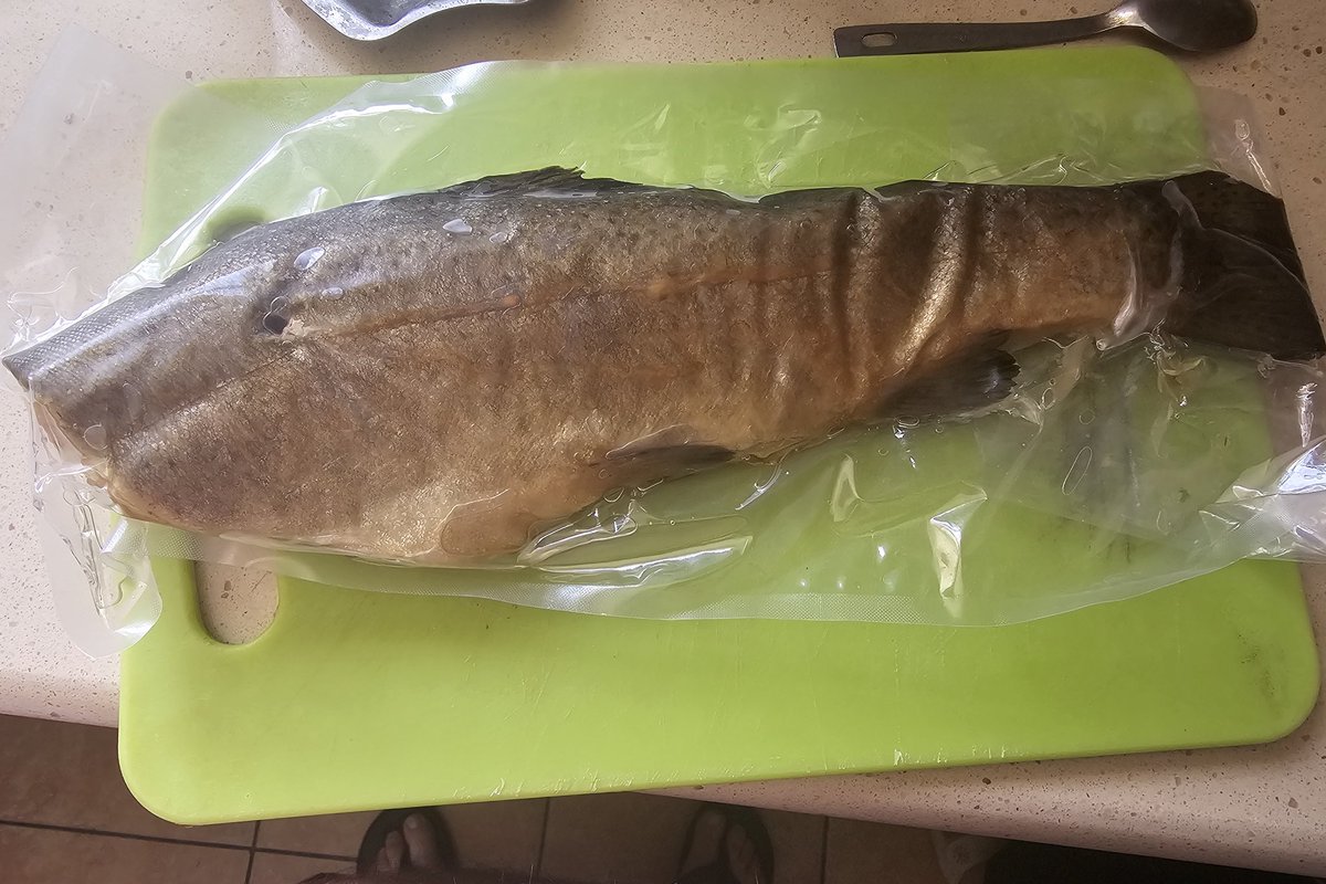 Вот такую форельку, горячего копчения, прикупил я в Сопоте, вкусная, собака, жирная, аж капает... 🤦‍♂️