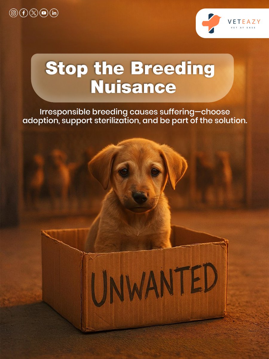 veteazy_'s tweet image. Responsible Pet Ownership Starts With YOU!
 🐶 Be kind. Be informed. Be a Veteazy Pet Parent.
Healthy pets = Happy communities! 🐕🐈
📲 Call/WhatsApp: 7025 110 222
📥 Get the Veteazy App: veteazy.com
🌱 Powered by Kerala Startup Mission
#Veteazy #PetCare #LovePets