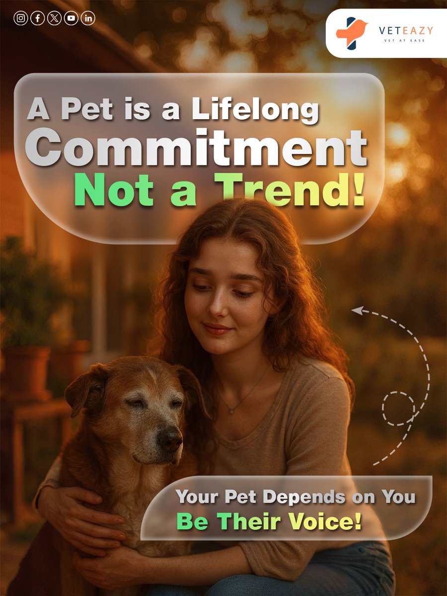 veteazy_'s tweet image. Responsible Pet Ownership Starts With YOU!
 🐶 Be kind. Be informed. Be a Veteazy Pet Parent.
Healthy pets = Happy communities! 🐕🐈
📲 Call/WhatsApp: 7025 110 222
📥 Get the Veteazy App: veteazy.com
🌱 Powered by Kerala Startup Mission
#Veteazy #PetCare #LovePets