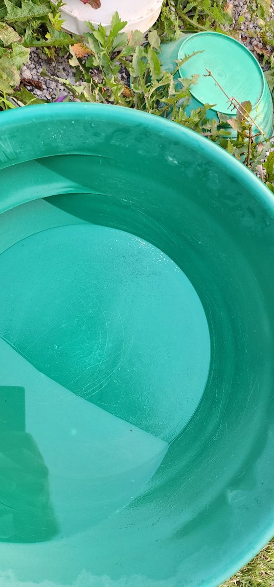 Getting some of that MI Au!