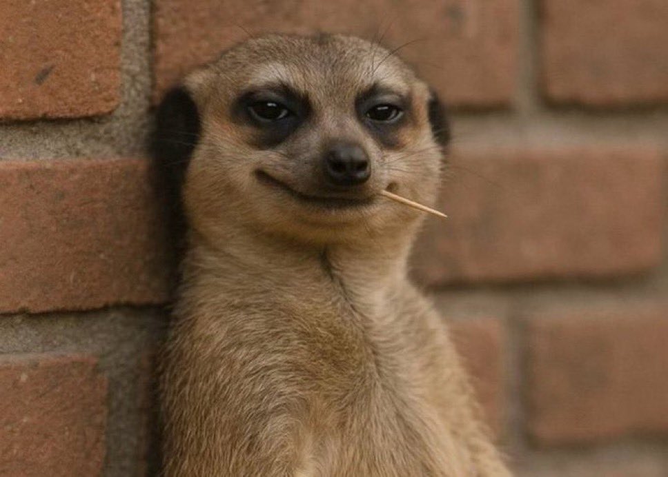 Who are we dragging today?
Idolo/<a href="/Sidekick_Labs/">Sidekick</a>?